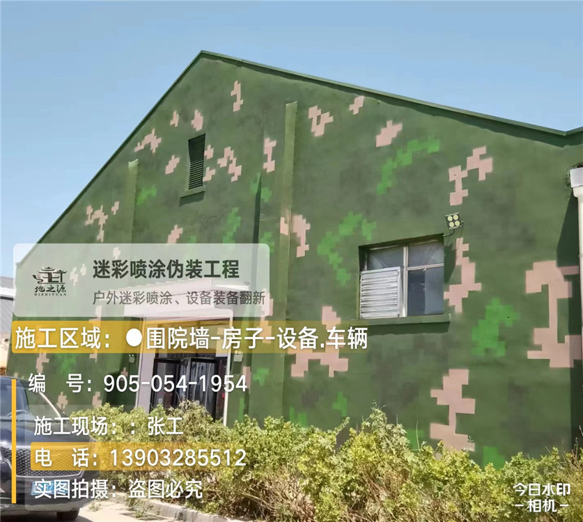 陵水外墙数码迷彩漆施工报价清单（100㎡标准墙面测算）